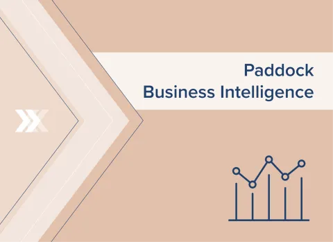 Paddock BI Business Intelligence