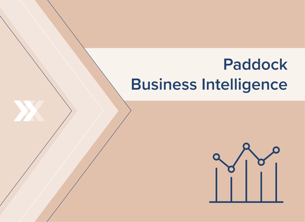 Paddock BI Business Intelligence